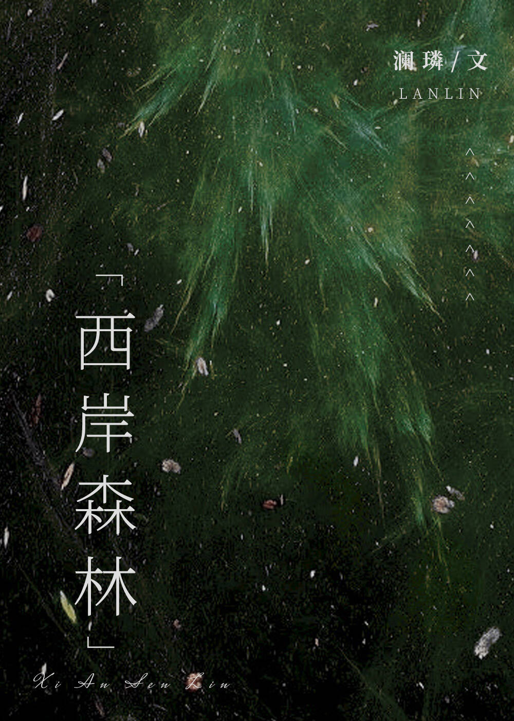 西岸森林湾