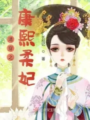 清穿之康熙嫡幼子小说