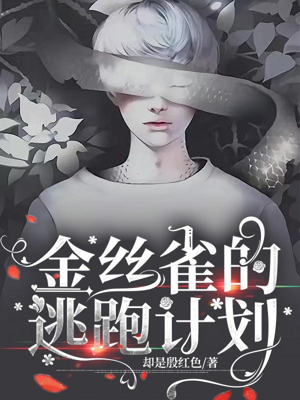 逃跑的金丝雀小说