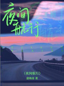 夜间航班景色