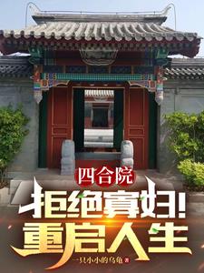 四合院:小说