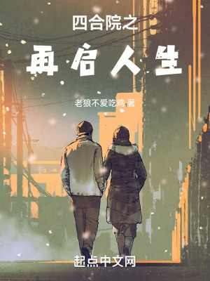 四合院之再战风云小说