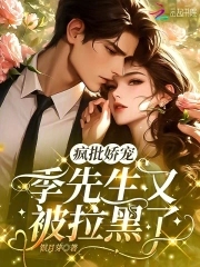 小说季先生的偏宠