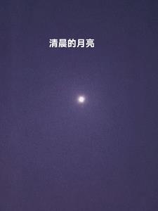 新书小说百度百科