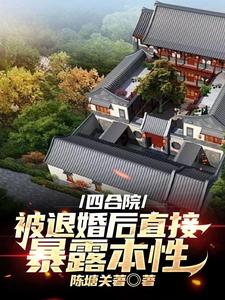 四合院坑棒梗