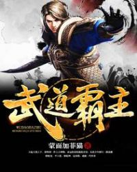 武道霸主800